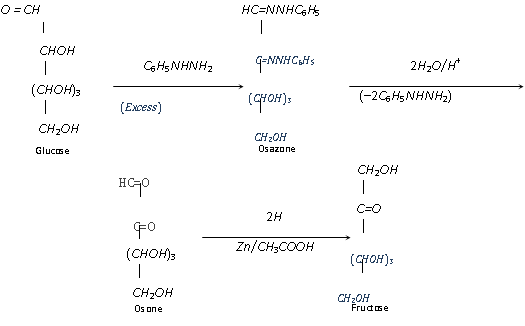 527_interconversion of glucose4.png